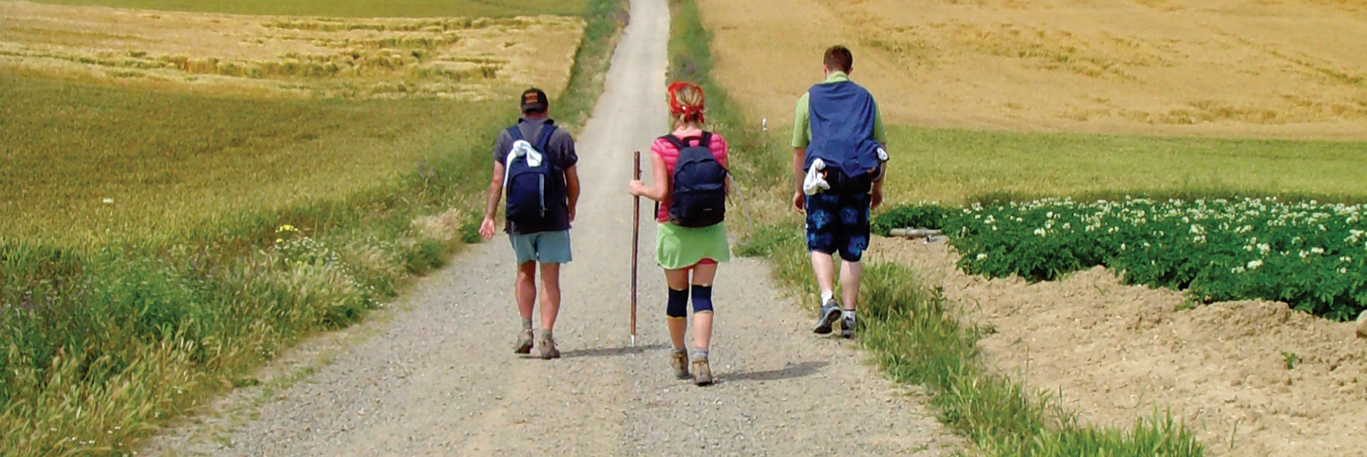 Walkers in the countryside